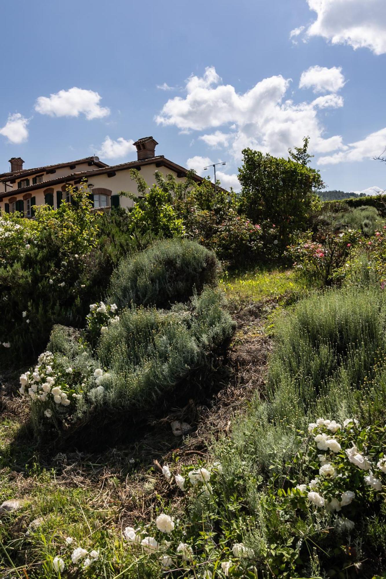 Tenuta Borgo San Michele Gubbio Luaran gambar